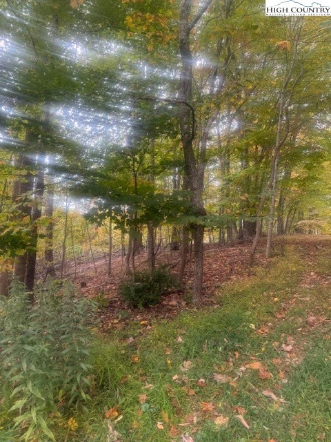 Image number 4 for the current listing