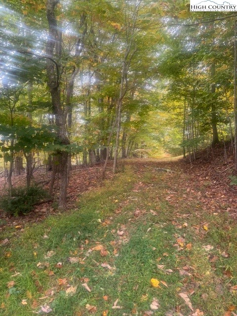 Image number 5 for the current listing