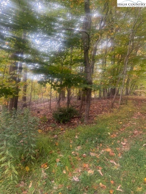 Image number 6 for the current listing