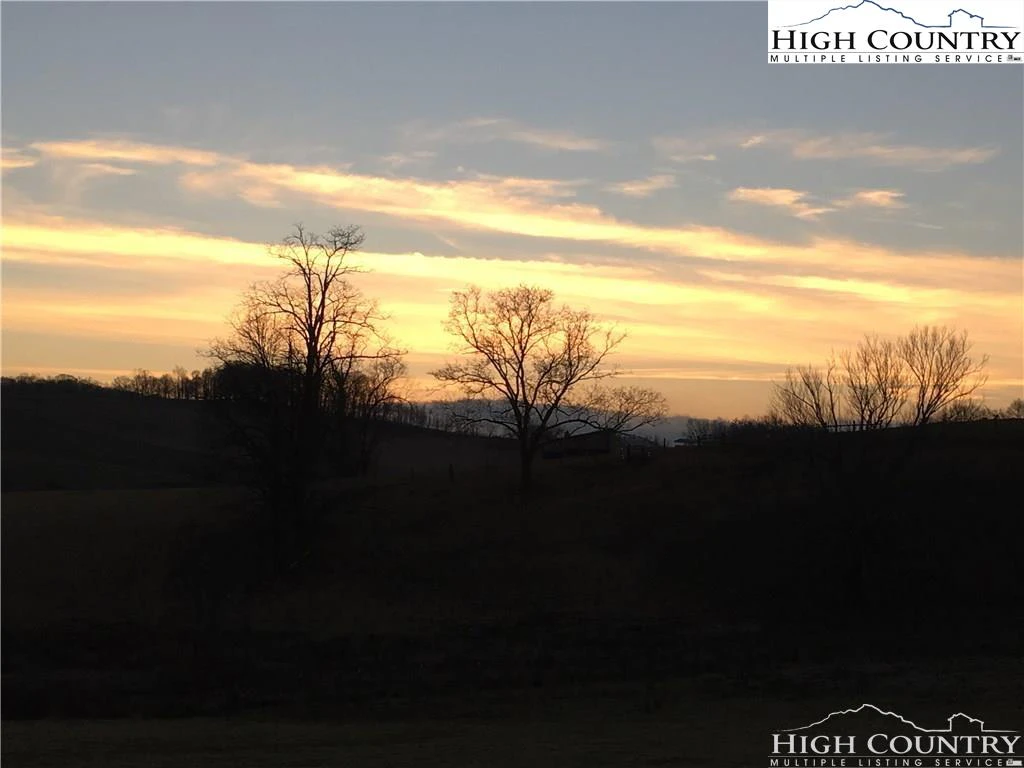 Image number 3 for the current listing