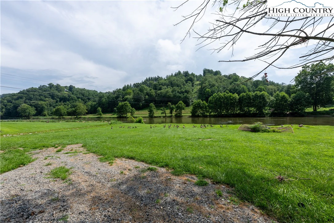 Image number 12 for the current listing