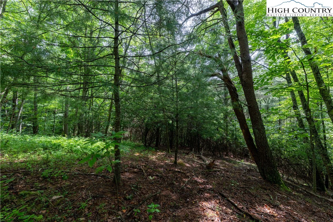 Image number 3 for the current listing