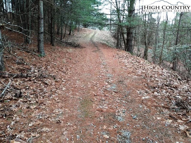 Image number 1 for the current listing