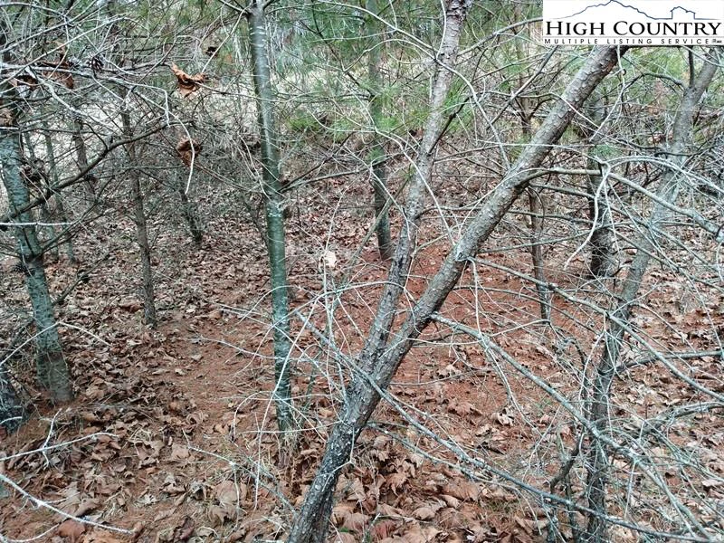 Image number 2 for the current listing