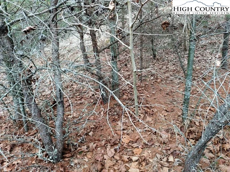Image number 11 for the current listing