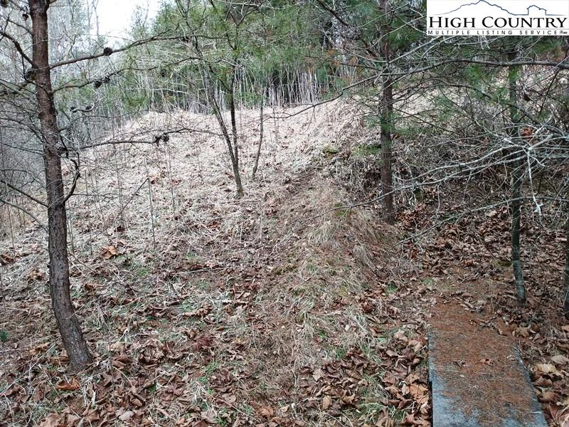 Image number 7 for the current listing