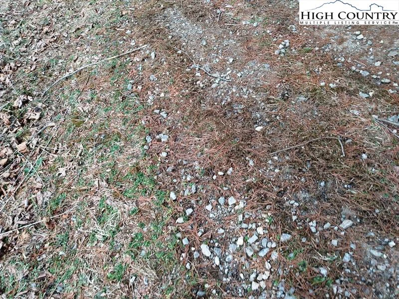 Image number 3 for the current listing