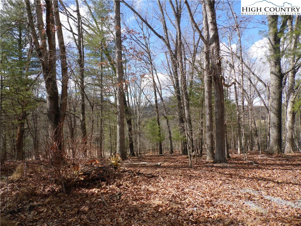 Image number 21 for the current listing