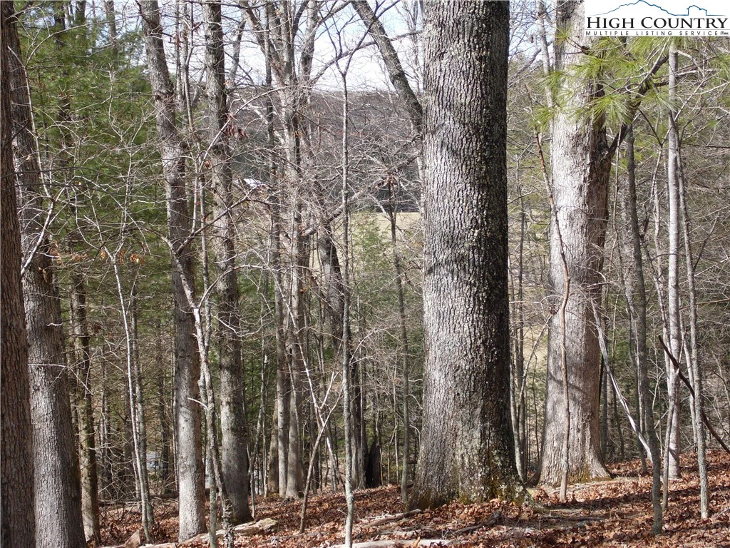 Image number 19 for the current listing