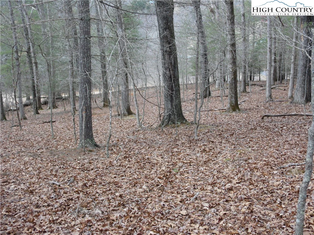 Image number 17 for the current listing