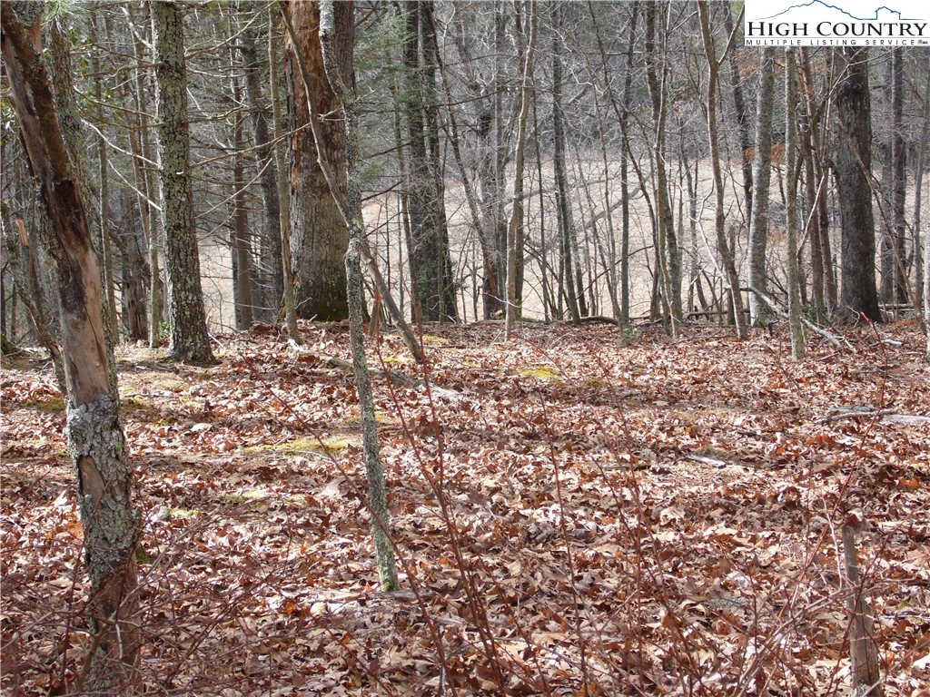 Image number 2 for the current listing