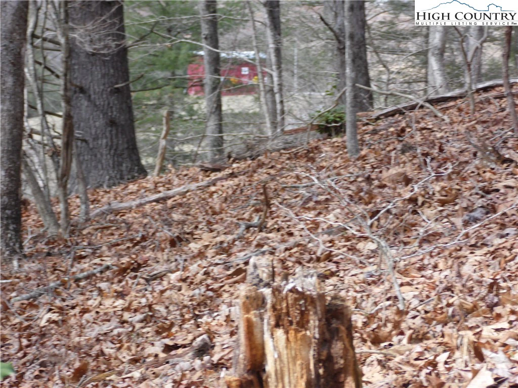 Image number 4 for the current listing