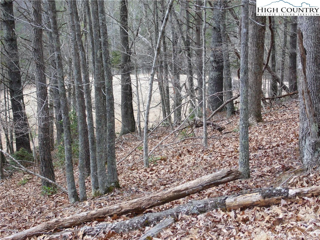 Image number 5 for the current listing