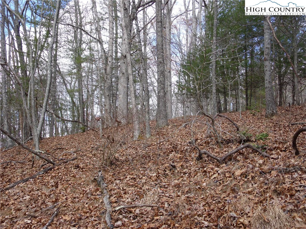 Image number 7 for the current listing
