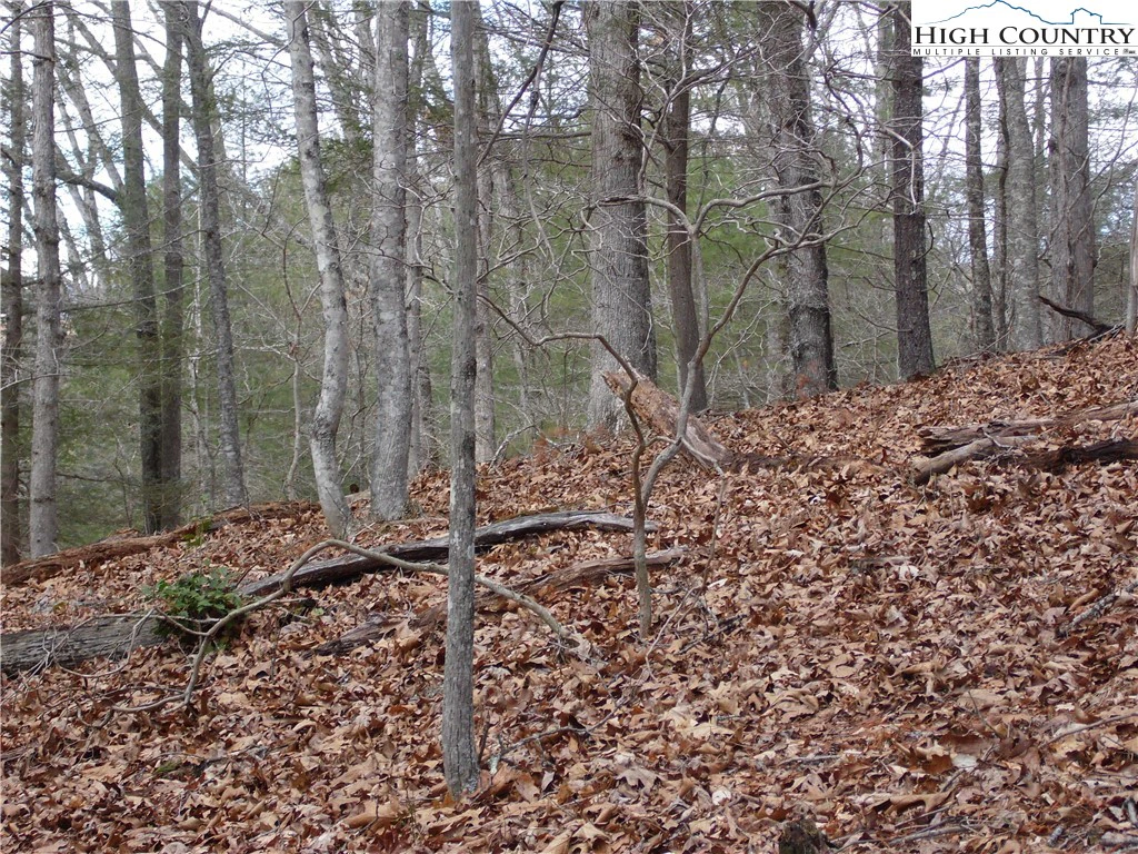 Image number 9 for the current listing