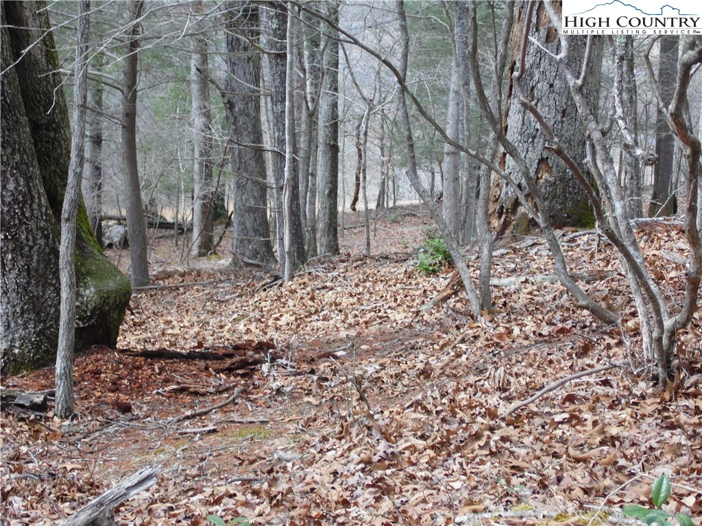 Image number 11 for the current listing