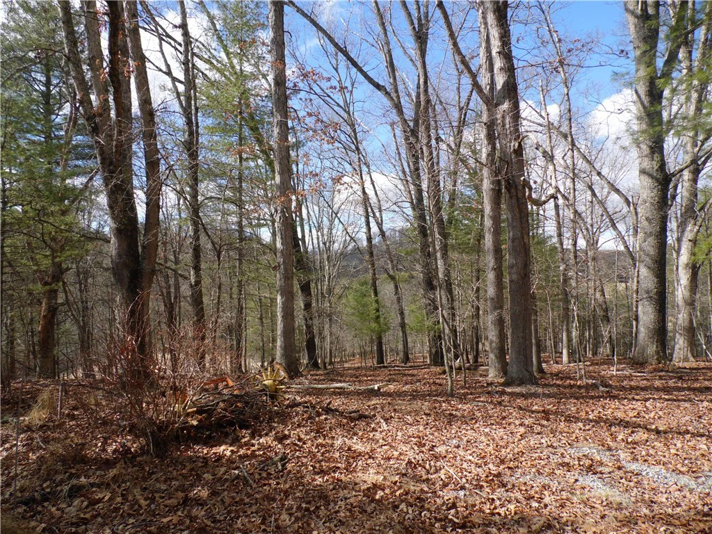 Image number 1 for the current listing
