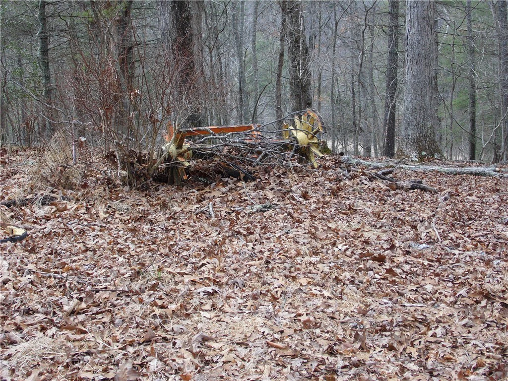 Image number 3 for the current listing