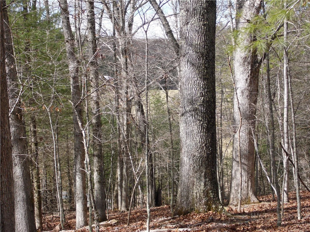 Image number 4 for the current listing