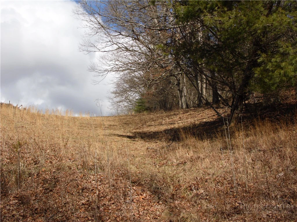 Image number 5 for the current listing