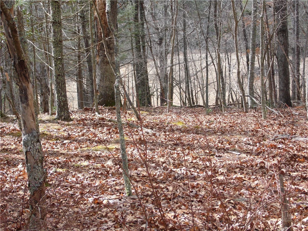 Image number 9 for the current listing