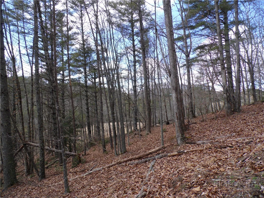 Image number 10 for the current listing