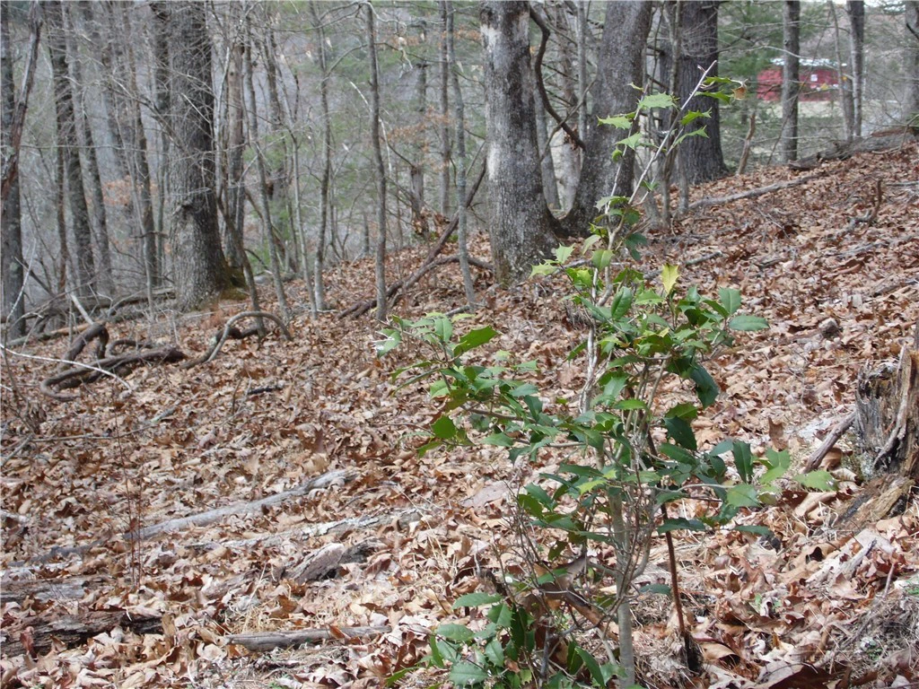 Image number 11 for the current listing
