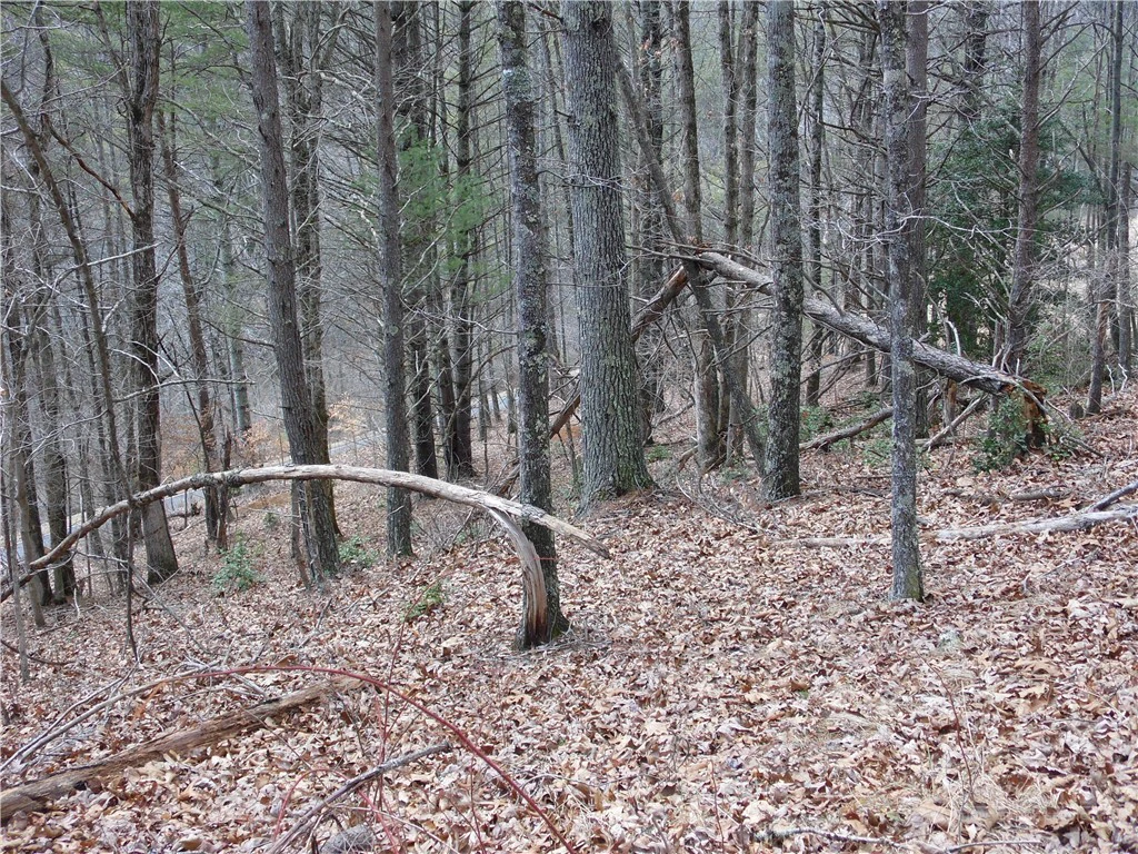 Image number 12 for the current listing