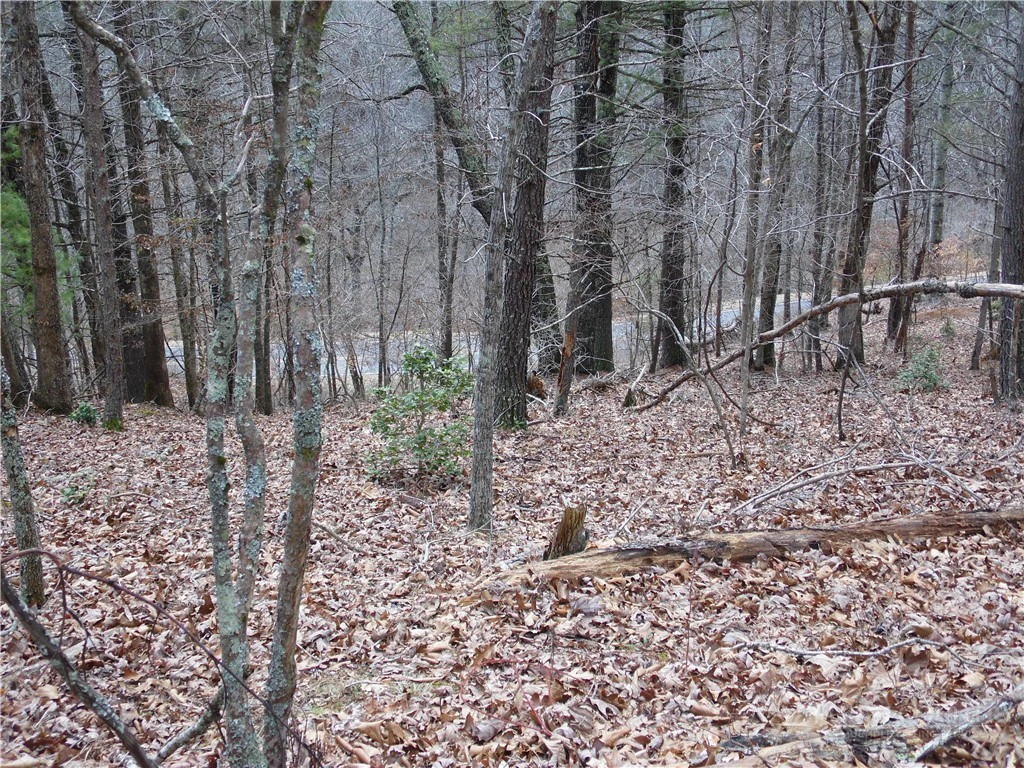 Image number 14 for the current listing