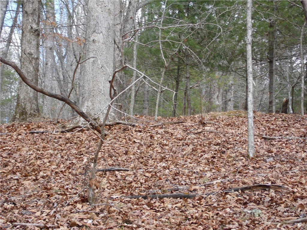 Image number 18 for the current listing