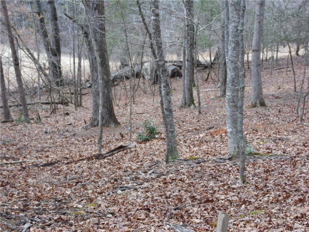 Image number 19 for the current listing