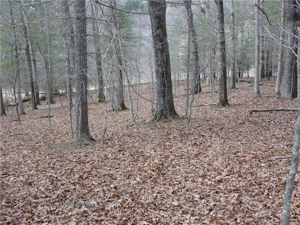 Image number 20 for the current listing