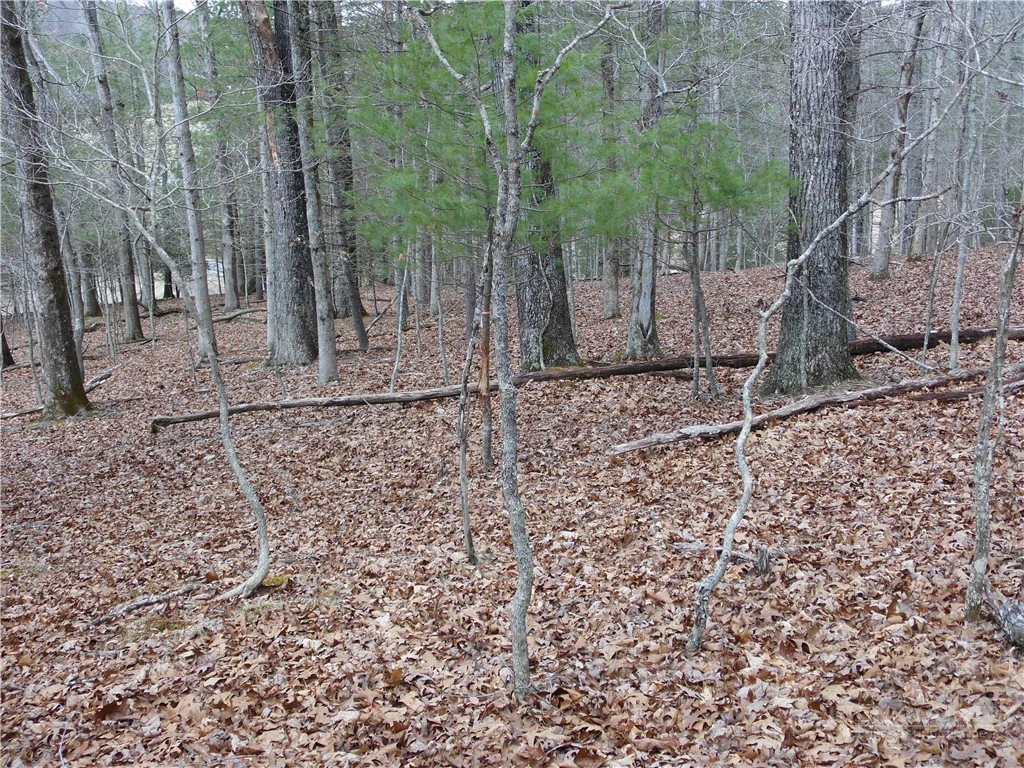 Image number 21 for the current listing