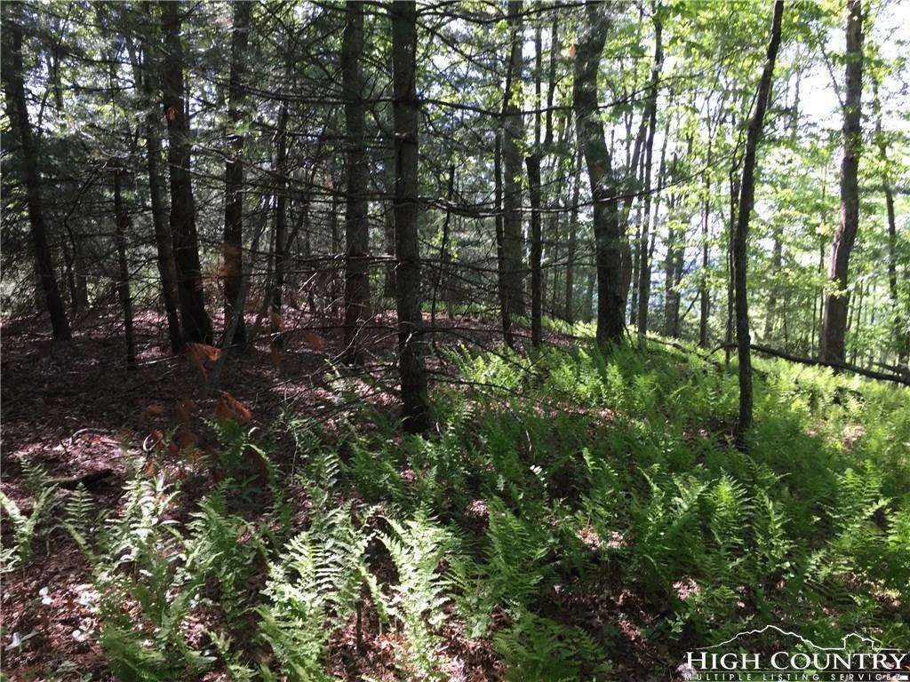 Image number 3 for the current listing