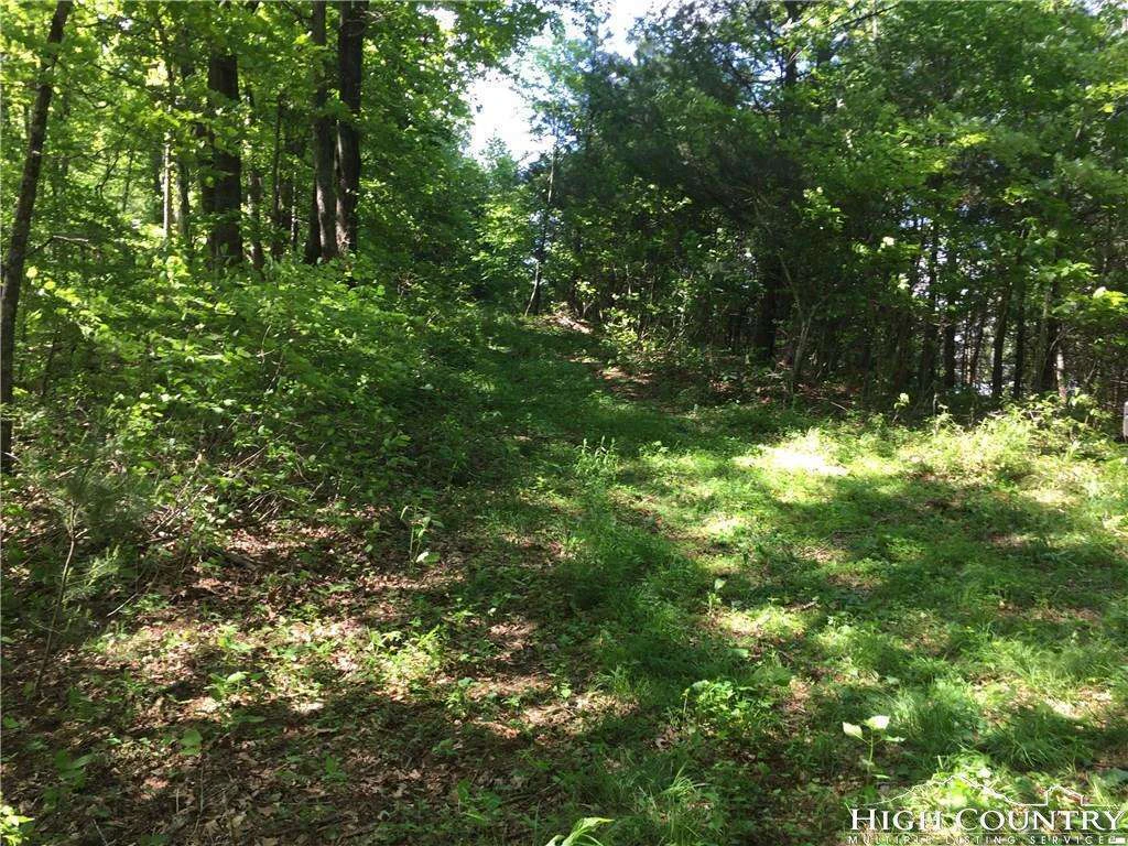 Image number 9 for the current listing