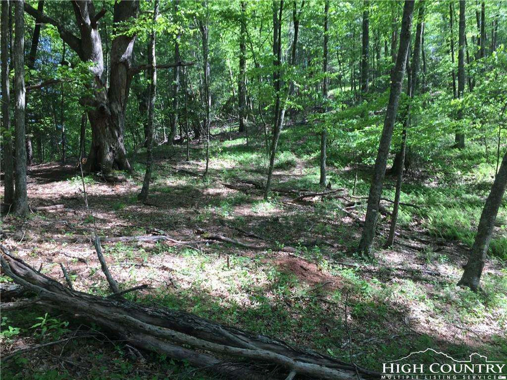 Image number 11 for the current listing