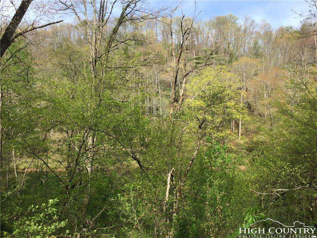 Image number 14 for the current listing