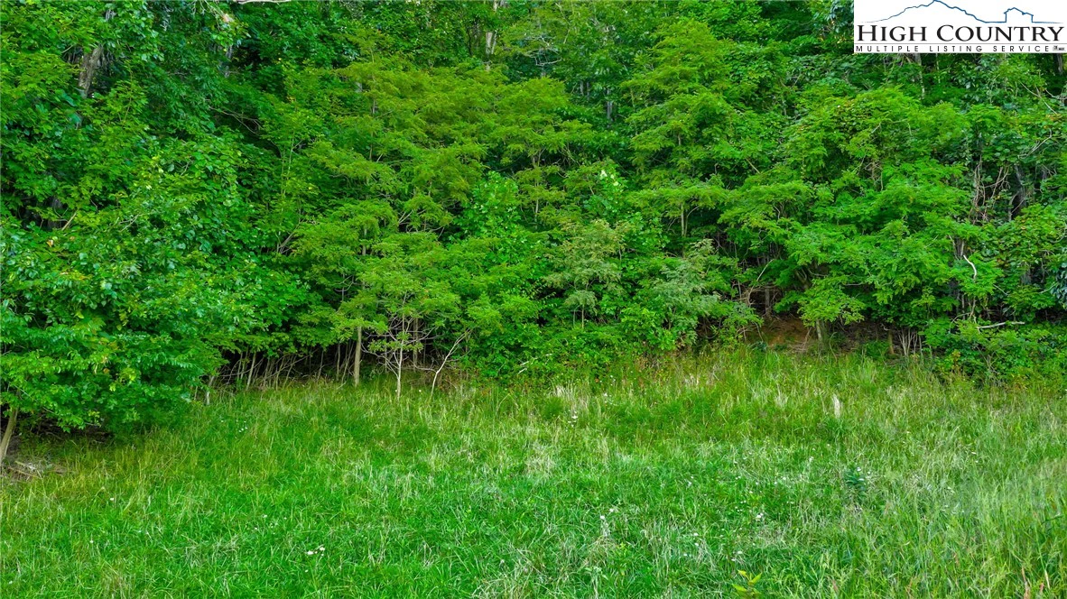 Image number 5 for the current listing