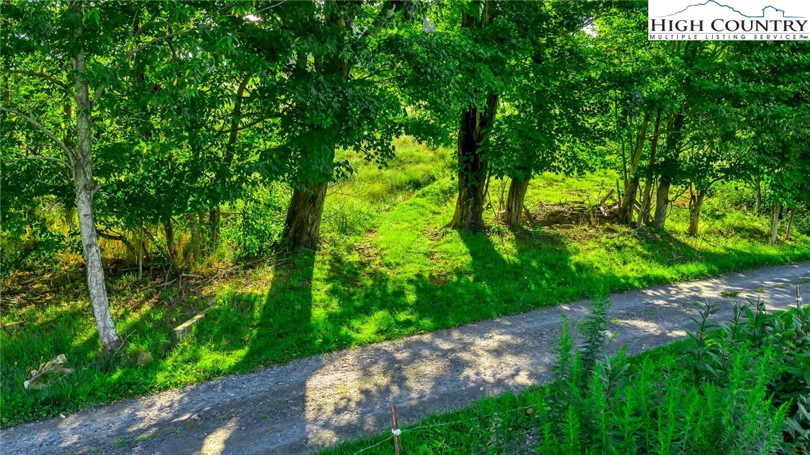 Image number 16 for the current listing