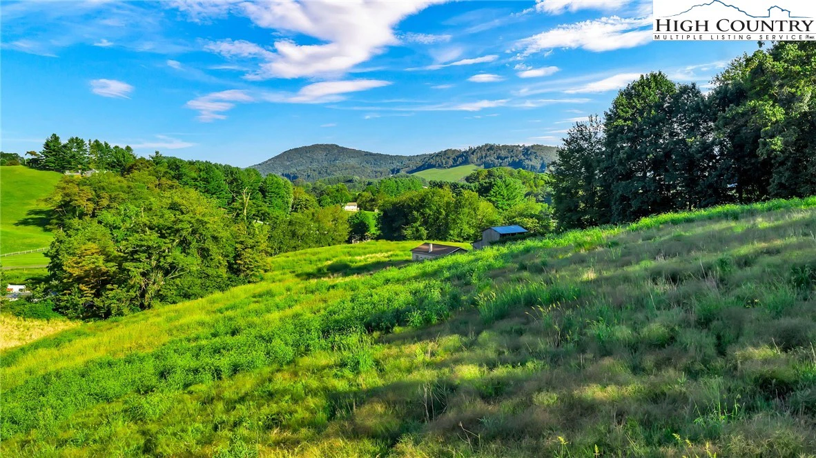 Image number 1 for the current listing