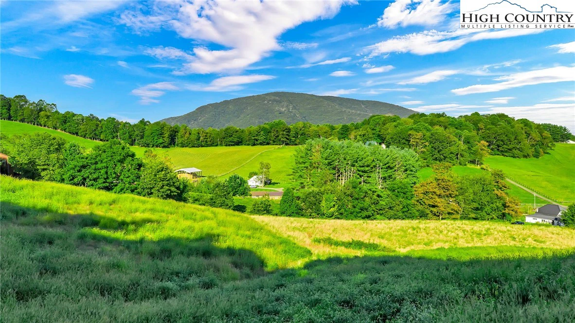Image number 4 for the current listing