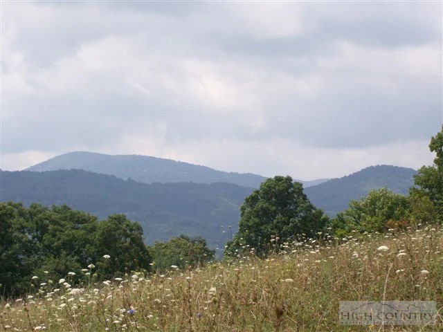 Image number 1 for the current listing