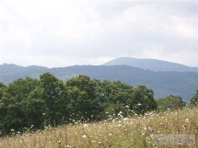 Image number 19 for the current listing