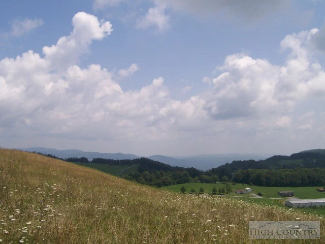 Image number 11 for the current listing