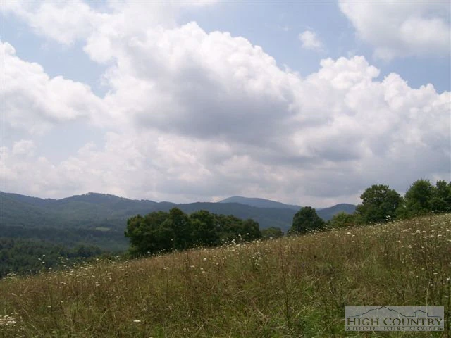 Image number 6 for the current listing