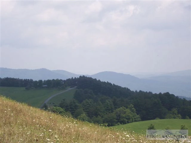 Image number 5 for the current listing