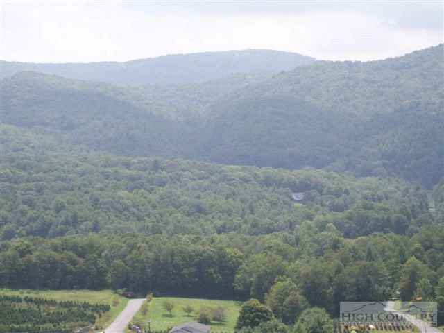 Image number 15 for the current listing