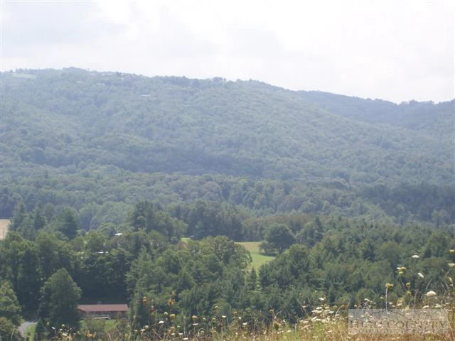 Image number 14 for the current listing