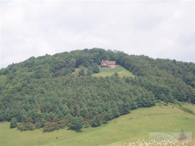 Image number 12 for the current listing