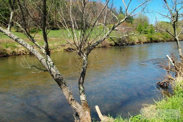 Image number 8 for the current listing